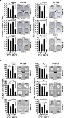 Corrigendum: Establishment of Tumor Treating Fields Combined With Mild Hyperthermia as Novel Supporting Therapy for Pancreatic Cancer